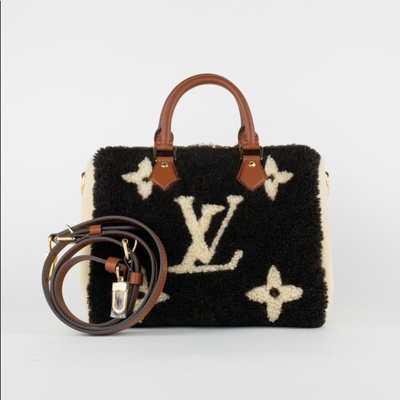 Louis Vuitton Shearling Teddy Speedy 25 - Picture 5 of 13
